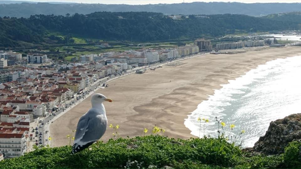 West Coast Dream Nazare Villa Exterior photo